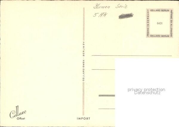 Blumen – Bild 2