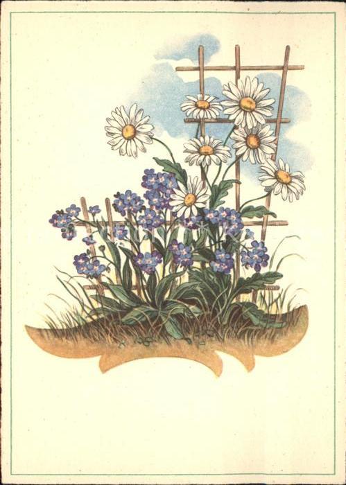 Blumen Zeichnung