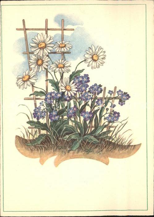Blumen Zeichnung