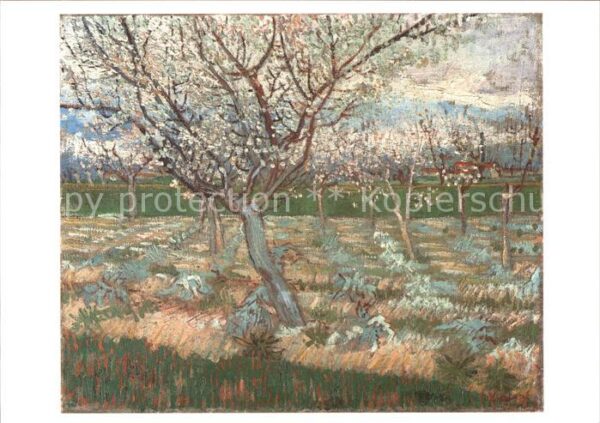 Van Gogh Vincent Abricotiers en fleur