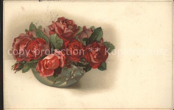Blumen Rosen