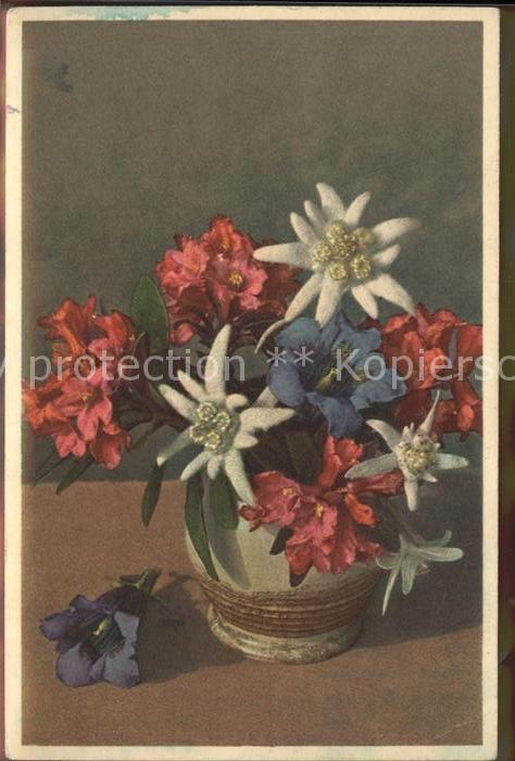 Edelweiss Blumen Vase