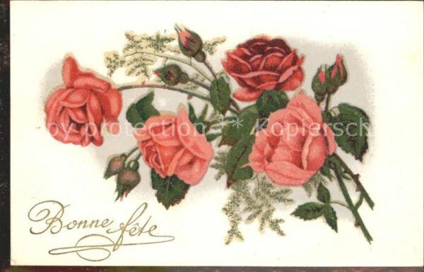 Rosen Bonne fete Glimmer