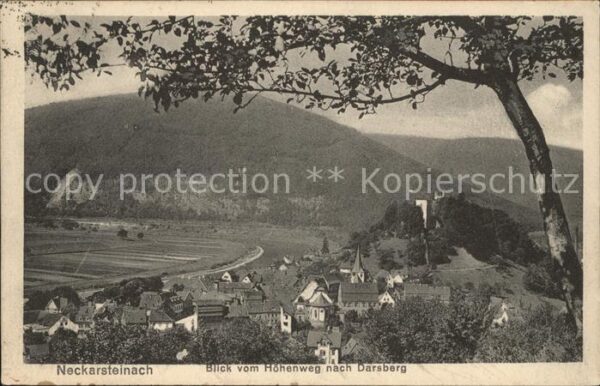 Neckarsteinach Blick vom Höhenweg