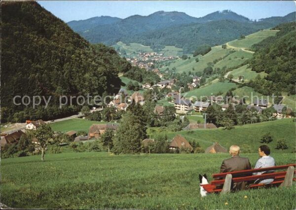 Muenstertal Schwarzwald Teilansicht