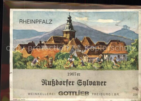 Nussdorf Pfalz Weinetikette