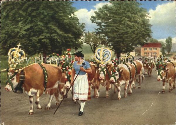 Tegernsee Almabtrieb Tracht