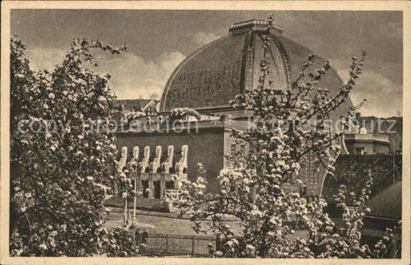 Hagen Westfalen Stadthalle Baumblüte