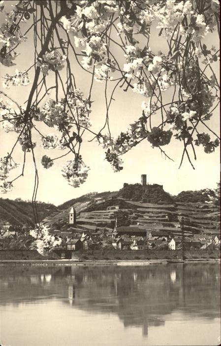 Beilstein Mosel Uferpartie an der Mosel Baumblüte Burg