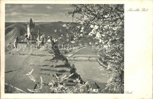 Cochem Mosel Panorama mit Burg Baumblüte