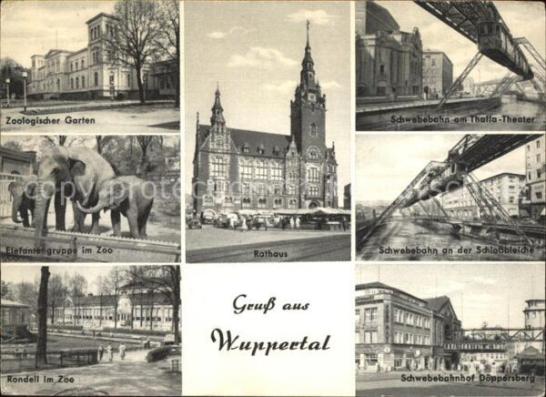 Wuppertal Zoologischer Garten Elefanten Rathaus S
