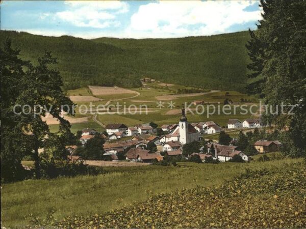 Arnbruck Ortsansicht mit Kirche Erholungsort