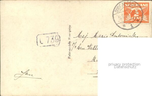 Rosen Liebespaar – Bild 2