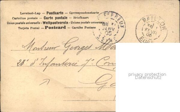 Rosen – Bild 2