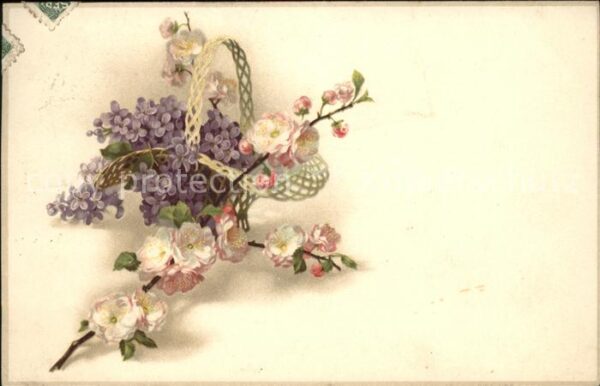 Blumen Flieder Rosen