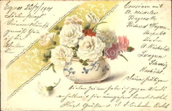 Blumen Nelken