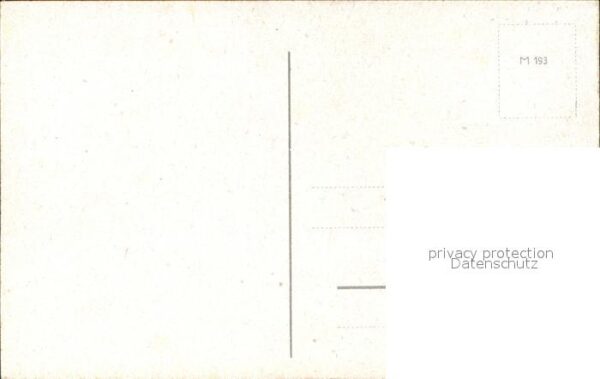 Rosen – Bild 2