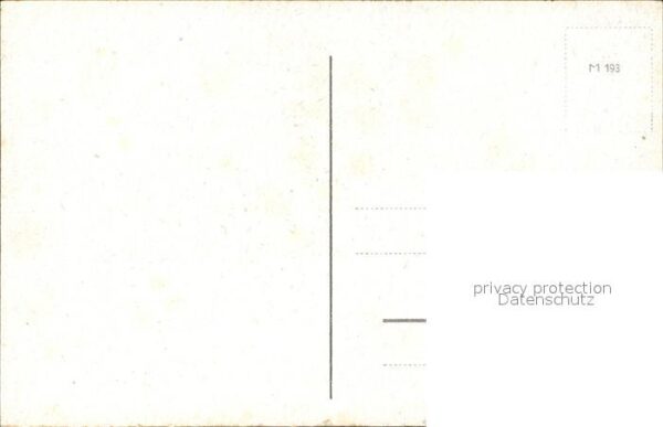 Rosen weisse – Bild 2