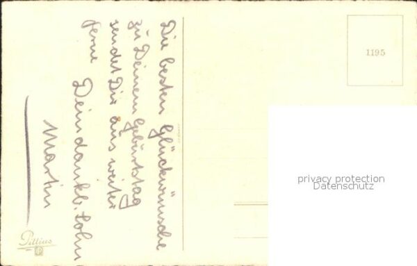 Blumen Nelken – Bild 2