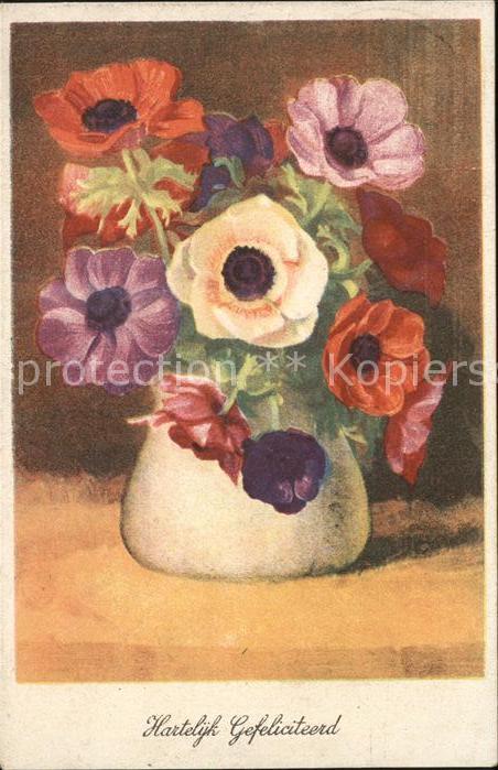 Blumen Vase Mohnblumen