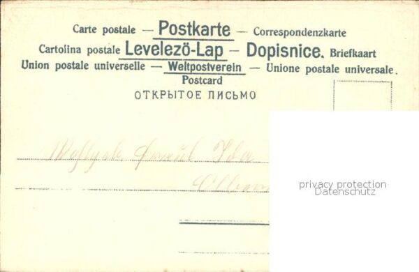 Rosen – Bild 2
