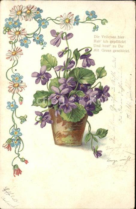 Blumen Spruch