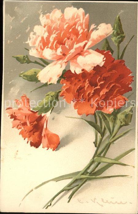 Blumen Nelken Künstlerkarte