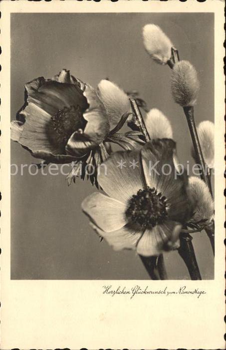 Blumen Namenstage