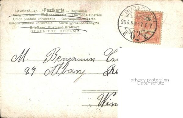 Rosen – Bild 2