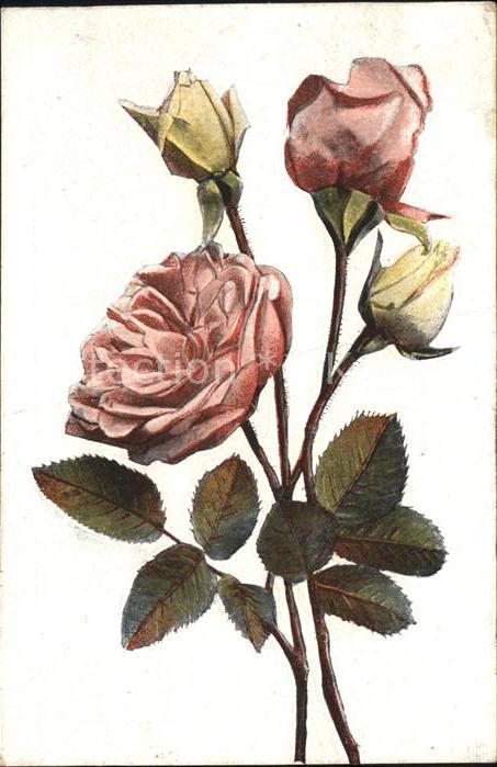 Rosen