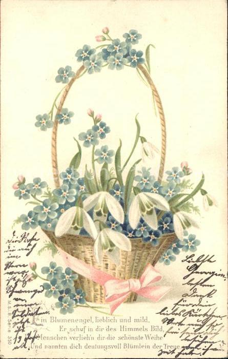 Blumen Schneeglöckchen