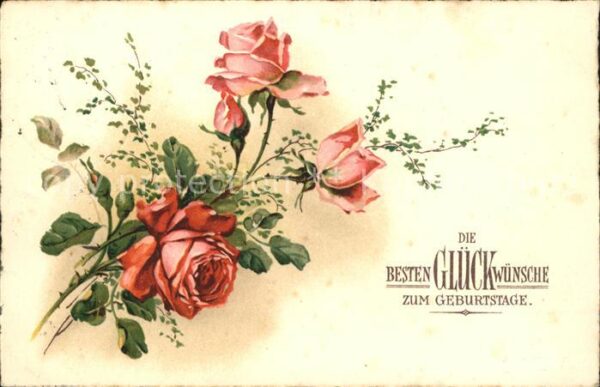 Geburtstag Rosen