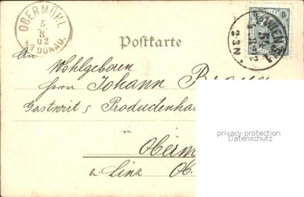 Blumen Eicheln – Bild 2