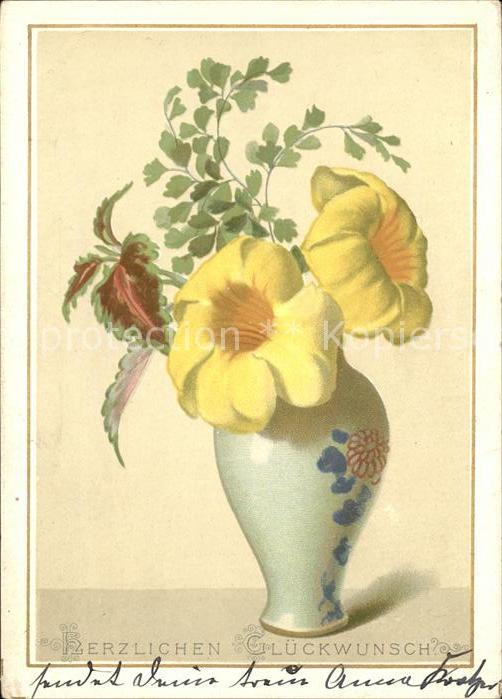Blumen Glückwunsch