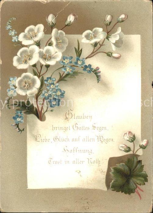 Blumen Glaube Gottes Segen
