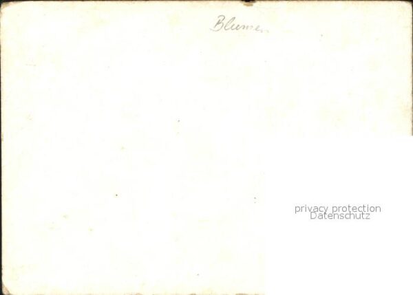 Blumen Glaube Gottes Segen – Bild 2
