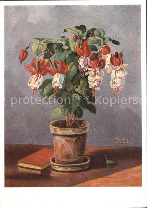 Kuenstlerkarte Blumenstock