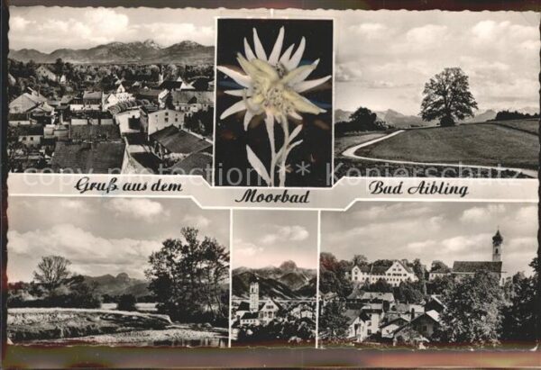 Edelweiss Bad Aibling