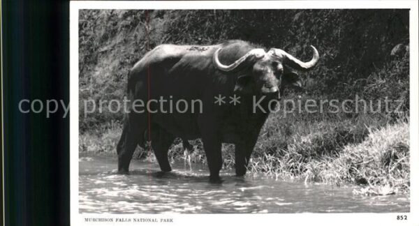 Nationalpark Murchison Falls National Park