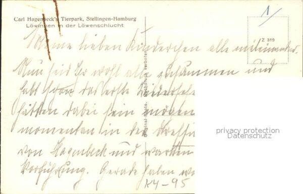 Zoo Löwen Carl Hagenbecks Tierpark Stelling – Bild 2