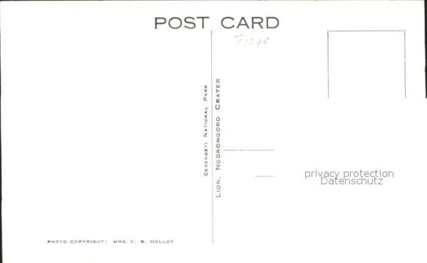 Loewe – Bild 2