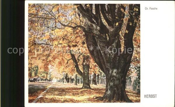 Kuenstlerkarte Ch. Pasche Herbst