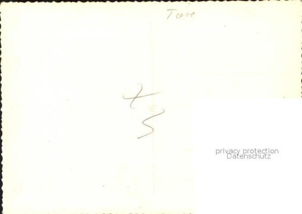 Hirsch – Bild 2