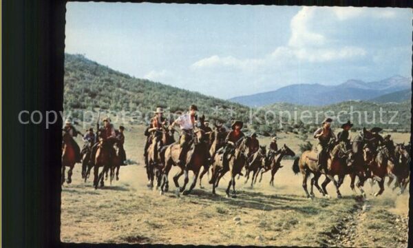 Winnetou Schatz im Silbersee Pferde