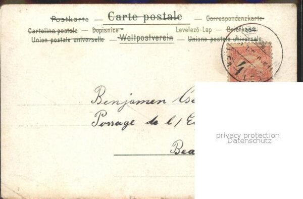 Tauben Kleeblatt – Bild 2