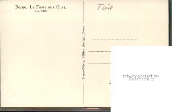 Baeren Bärengraben Bern – Bild 2