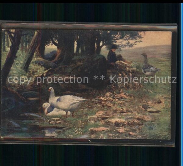 Kuenstlerkarte K. Rasek Gänse Enten