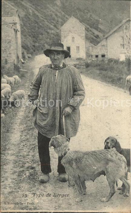 Hunde Hirte Type de Berger