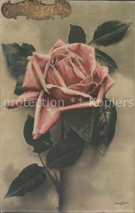 Rosen