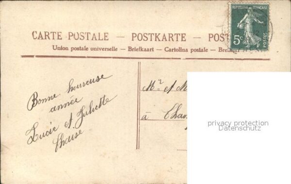 Rosen Souvenir d_Amitie Frau – Bild 2